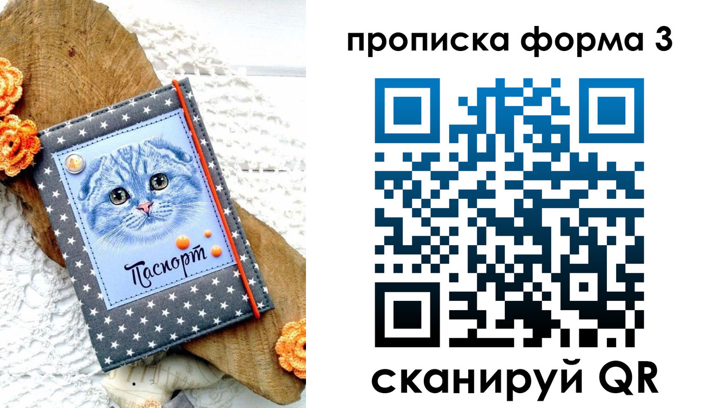 прописка поиск в Пласте